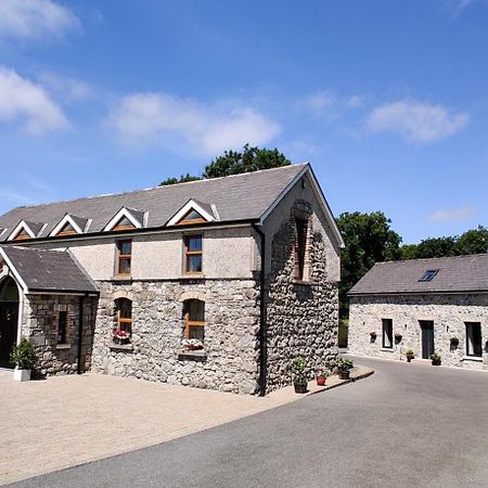 Moynure House Boutique B&B & Separate Two Bedroom Chalet Athlone Eksteriør billede